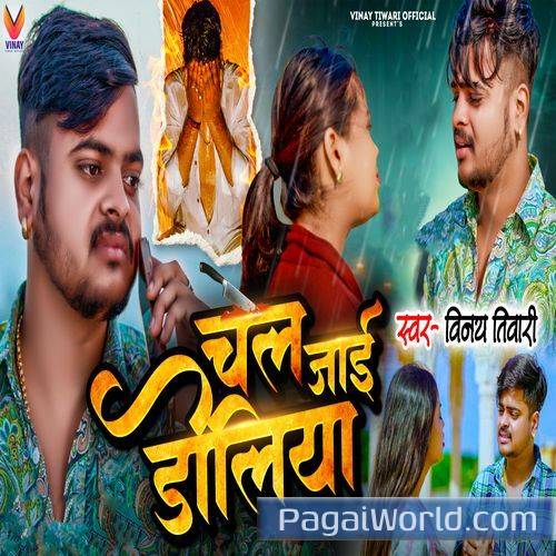 Chal Jaai Doliya Chal Jaai Doliya Poster