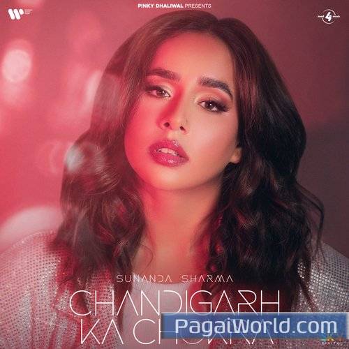 Chandigarh Ka Chokra Poster