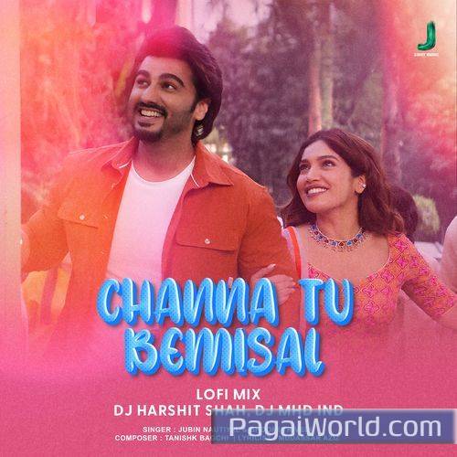 Channa Tu Bemisal  LOFI MIX Remix Poster