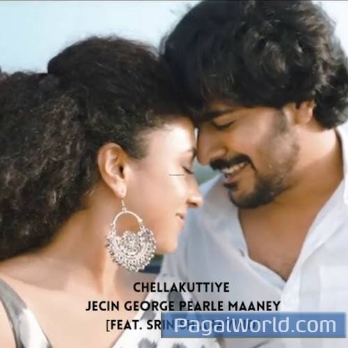 Chellakuttiye (Avastha Love) Poster