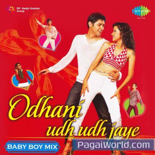 Dafli Wale Dafli Baja Dafli Wale Dafli Baja Poster