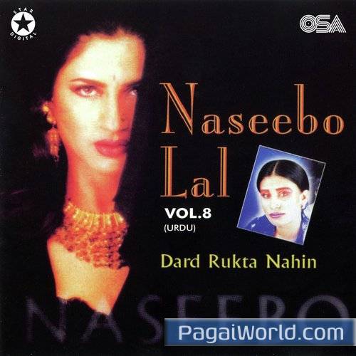 Dard Rukta Nahin Ek Pal Bhi Dard Rukta Nahin Ek Pal Bhi Poster