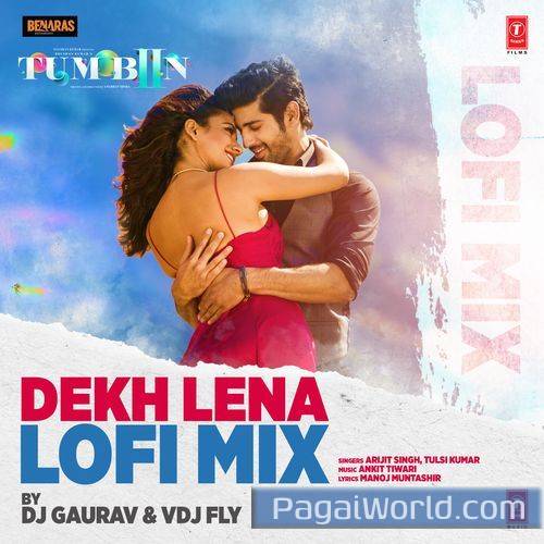 Dekh Lena Lofi Mix By Dj GauravVdj Fly Poster