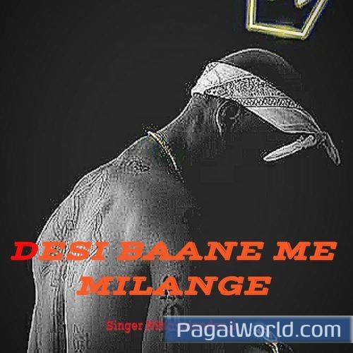 desi baane me milange desi baane me milange Poster