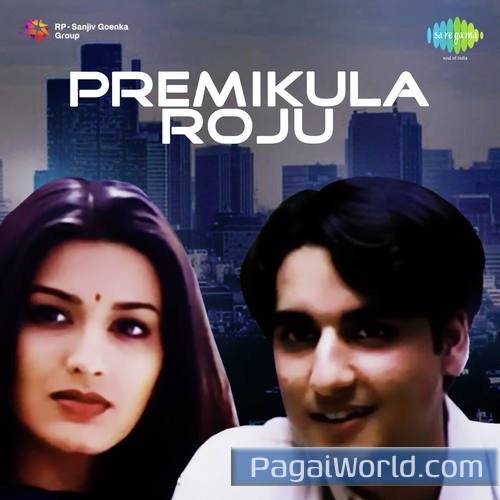 Dhandiya Poster