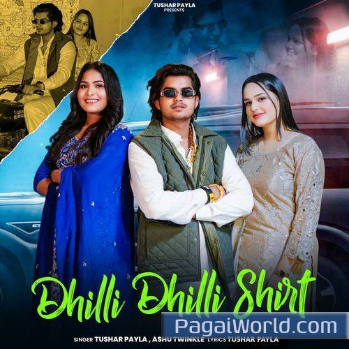 Dhilli Dhilli Shirt Dhilli Dhilli Shirt Poster