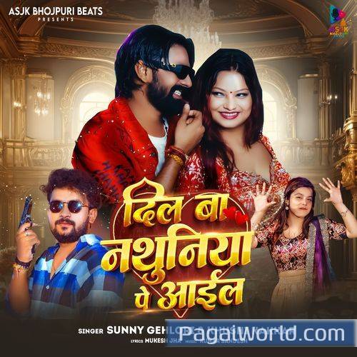 Dil Ba Nathuniya Pe Aail Dil Ba Nathuniya Pe Aail Poster