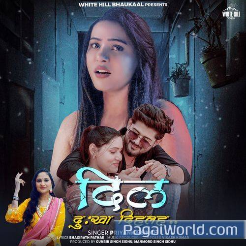 Dil Dukha Dihala Dil Dukha Dihala Poster