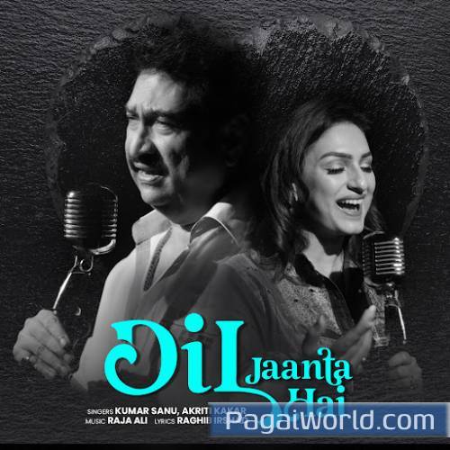 Dil Jaanta Hai Poster