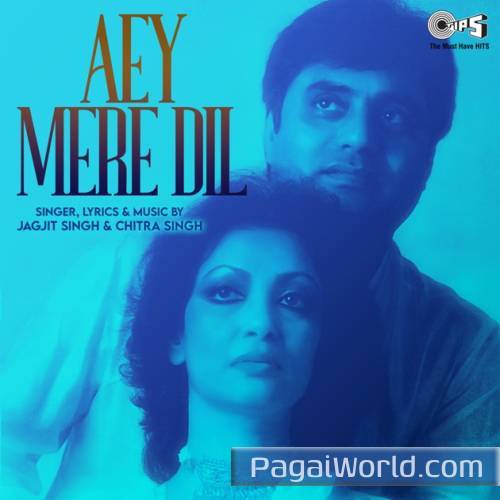 Dil Ke Ujle Kagaz Par Poster