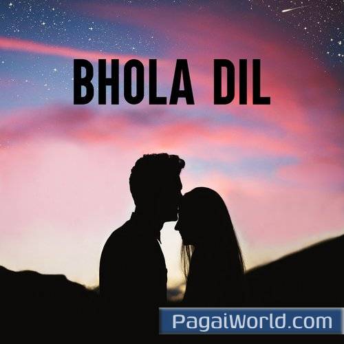Dil Kya Kare Poster