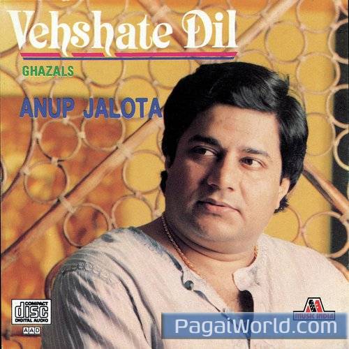 Dil Lagana Dil Jalana Dil Lagana Dil Jalana Poster