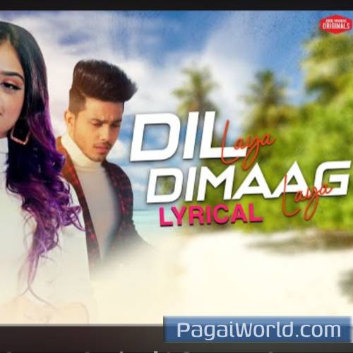 Dil Laya Dimaag Laya Sunny Anam Aadil Stebin Poster