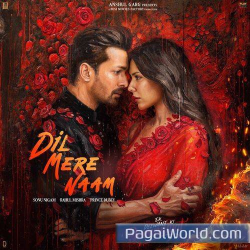 Dil Mere Naam Dil Mere Naam Poster