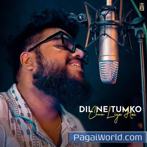 Dil Ne Tumko Chun Liya Hai Dil Ne Tumko Chun Liya Hai Poster