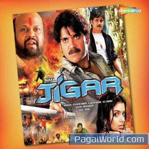 Dil Pal Pal Kohya Dil Pal Pal Kohya Poster