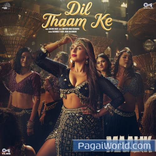 Dil Thaam Ke Dil Thaam Ke Poster