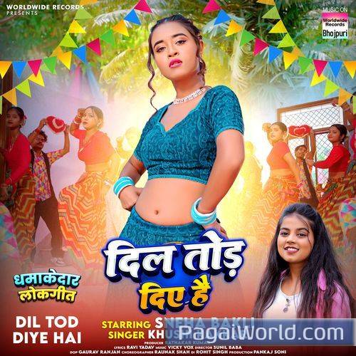 Dil Tod Diye Hai Dil Tod Diye Hai Poster