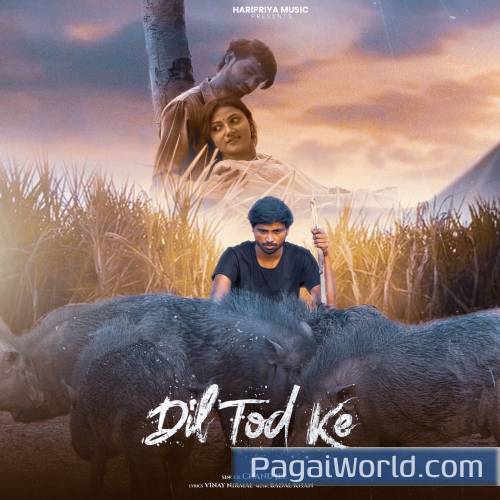 Dil Tod Ke Dil Tod Ke Poster