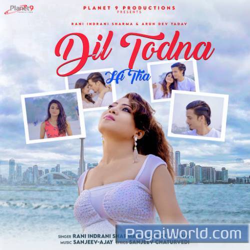 Dil Todna Hi Tha Dil Todna Hi Tha Poster