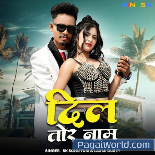 Dil Tor Naam Dil Tor Naam Poster