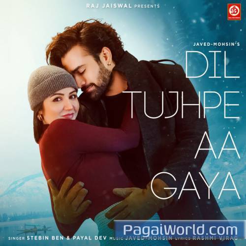 Dil Tujhpe Aa Gaya Poster