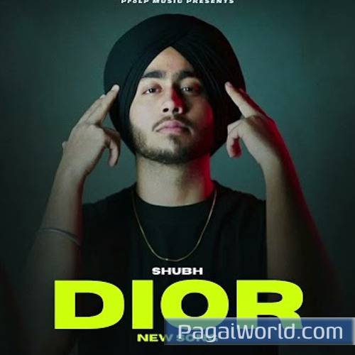 Dior Dior Poster