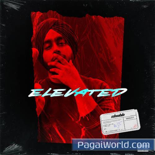 Elevated Elevated Poster