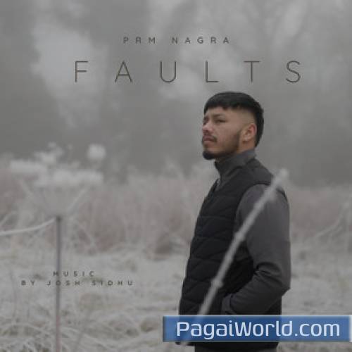 Faults Faults Poster