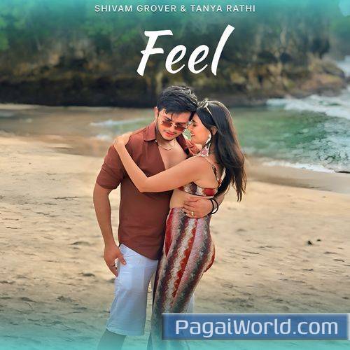 Feel Feel Poster