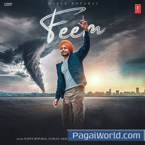Feem Feem Poster