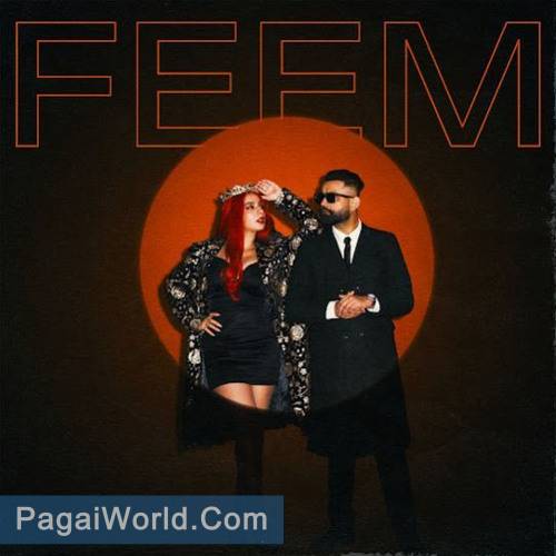 FEEM FEEM Poster