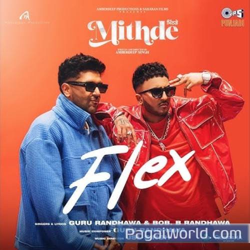 Flex Poster