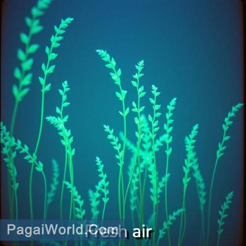 Fresh air Poster