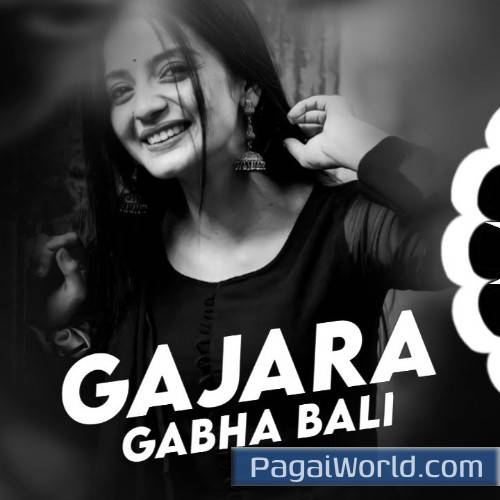 Gajara Gabha Bali Dj Remix Poster