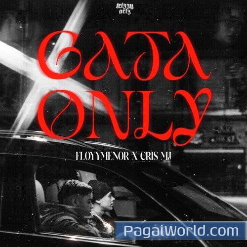 Gata Only Gata Only Poster