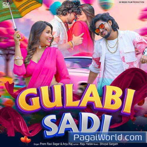 Gulabi Sadi Gulabi Sadi Poster