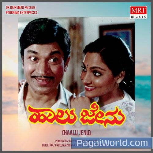 HAALU JENU Poster