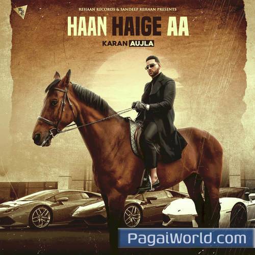 Haan Haige Aa Poster