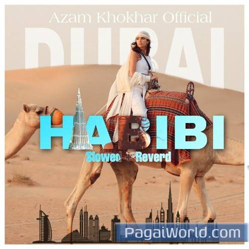 Habibi Poster