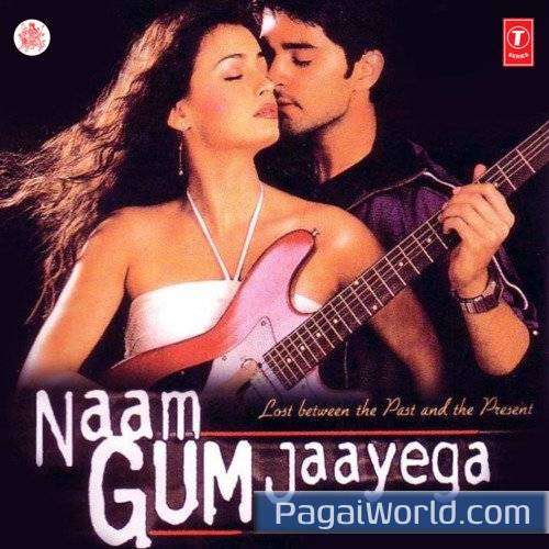 Hamein Tumse Hai Pyar Hamein Tumse Hai Pyar Poster
