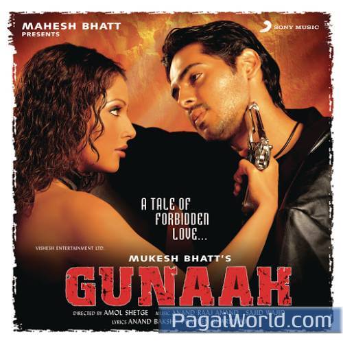 Hamne Tumko Dil Ye De Diya Poster