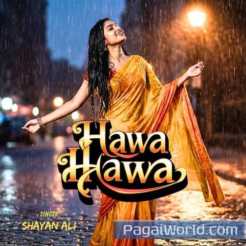 Hawa Hawa Poster