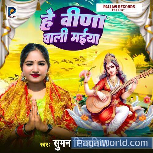 Hay Vina Wali Maiya Hay Vina Wali Maiya Poster