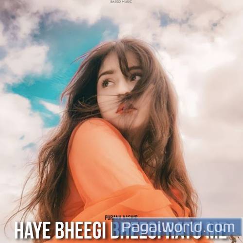 Haye Bheegi Bheegi Rato Me Haye Bheegi Bheegi Rato Me Poster