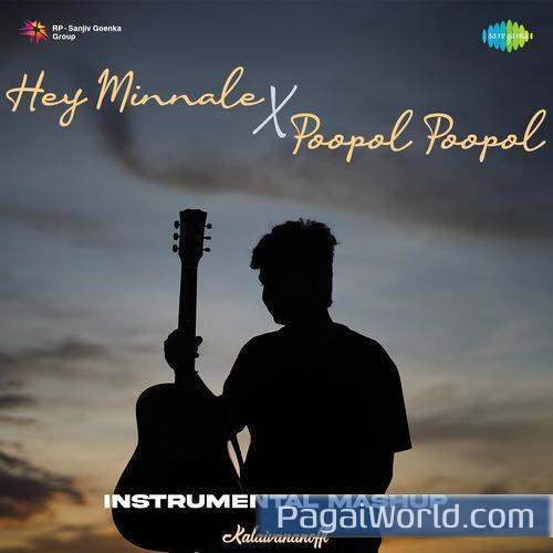 Hey Minnale X Poopol Poopol Instrumental Cover Hey Minnale X Poopol Poopol Instrumental Cover Poster