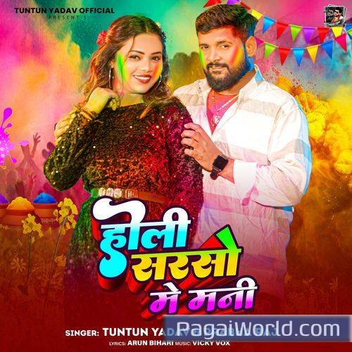 HOLI SARSO ME MANI HOLI SARSO ME MANI Poster