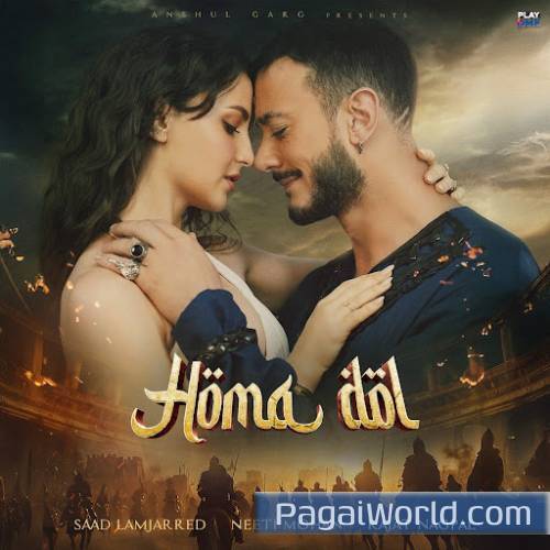 Homa Dol Poster