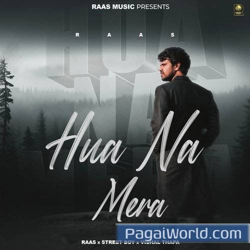 Hua Na Mera Hua Na Mera Poster