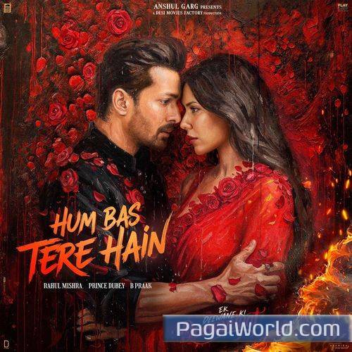 Hum Bas Tere Hain Hum Bas Tere Hain Poster